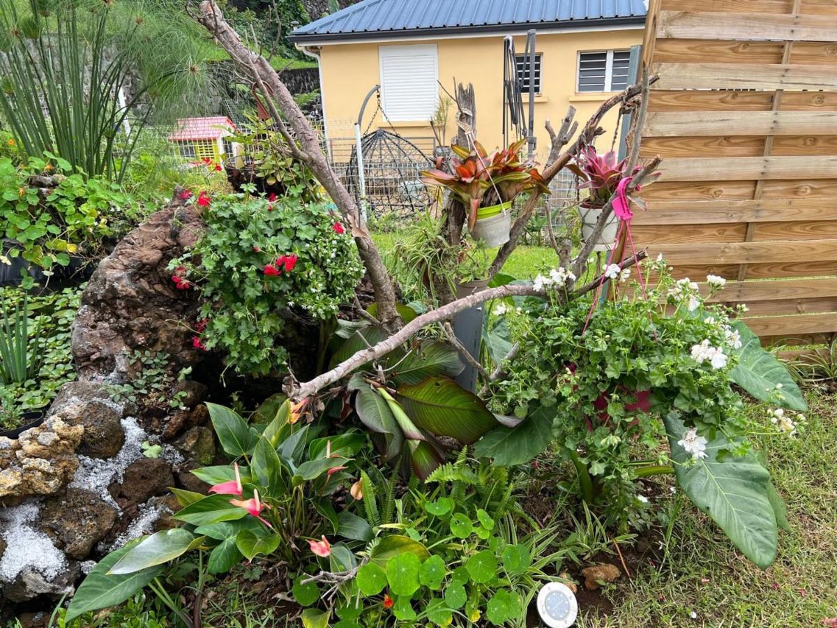 Villa, Lossy Le Tampon Exterior foto